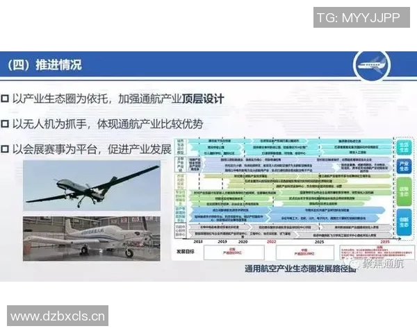 成都飞盘队的运营揭秘与发展探索深度解析