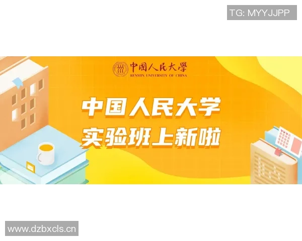 武汉羽毛球队进攻战术解析与热点动态全景解读